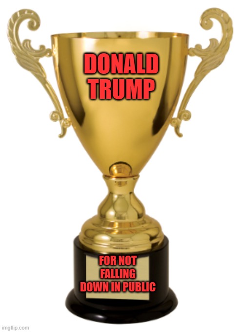 Trophy | DONALD TRUMP FOR NOT FALLING DOWN IN PUBLIC | image tagged in trophy | made w/ Imgflip meme maker