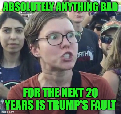 Triggered feminist | ABSOLUTELY ANYTHING BAD FOR THE NEXT 20 YEARS IS TRUMP'S FAULT | image tagged in triggered feminist | made w/ Imgflip meme maker