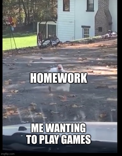 Duck running at car | HOMEWORK; ME WANTING TO PLAY GAMES | image tagged in duck running at car | made w/ Imgflip meme maker