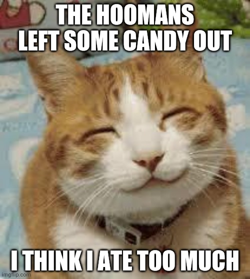 Happy cat | THE HOOMANS LEFT SOME CANDY OUT; I THINK I ATE TOO MUCH | image tagged in happy cat | made w/ Imgflip meme maker