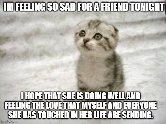 mi copa se derrama | IM FEELING SO SAD FOR A FRIEND TONIGHT; I HOPE THAT SHE IS DOING WELL AND FEELING THE LOVE THAT MYSELF AND EVERYONE SHE HAS TOUCHED IN HER LIFE ARE SENDING. | image tagged in memes,sad cat,special person | made w/ Imgflip meme maker