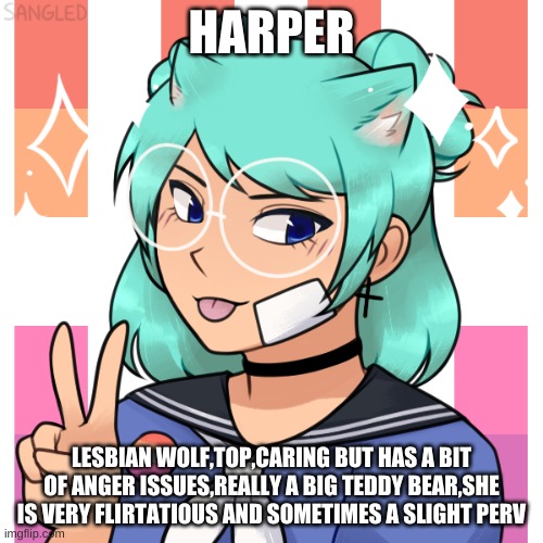 Harper | HARPER; LESBIAN WOLF,TOP,CARING BUT HAS A BIT OF ANGER ISSUES,REALLY A BIG TEDDY BEAR,SHE IS VERY FLIRTATIOUS AND SOMETIMES A SLIGHT PERV | image tagged in lesbian,top | made w/ Imgflip meme maker