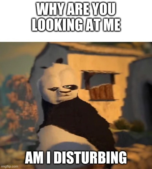 Drunk Kung Fu Panda | WHY ARE YOU LOOKING AT ME; AM I DISTURBING | image tagged in drunk kung fu panda | made w/ Imgflip meme maker