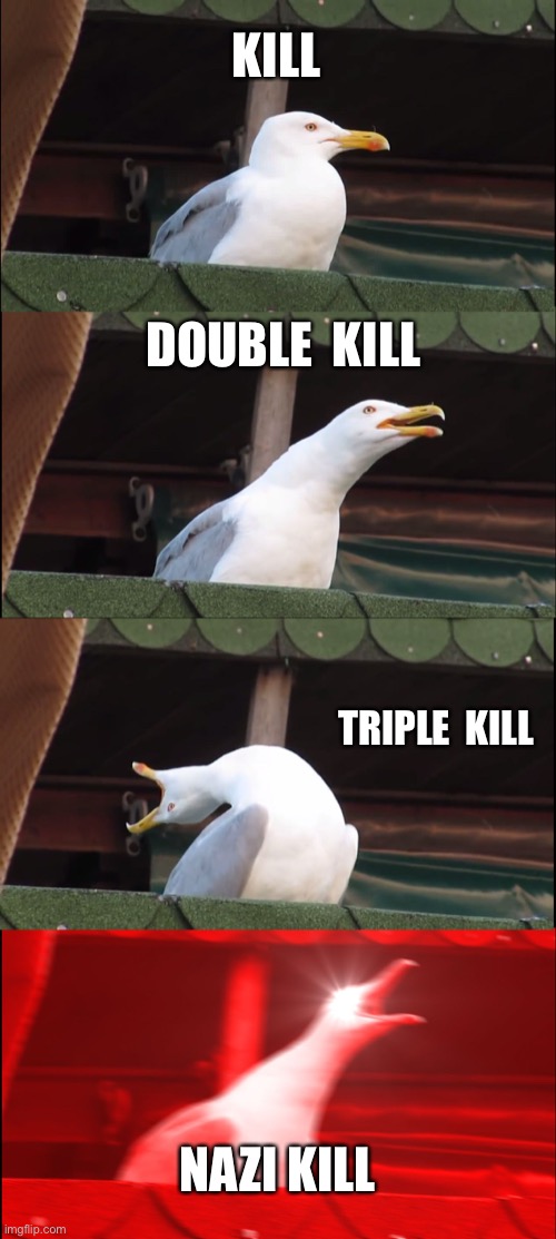 Inhaling Seagull | KILL; DOUBLE  KILL; TRIPLE  KILL; NAZI KILL | image tagged in memes,inhaling seagull | made w/ Imgflip meme maker