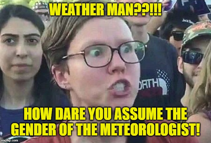 Triggered Liberal | WEATHER MAN??!!! HOW DARE YOU ASSUME THE GENDER OF THE METEOROLOGIST! | image tagged in triggered liberal | made w/ Imgflip meme maker