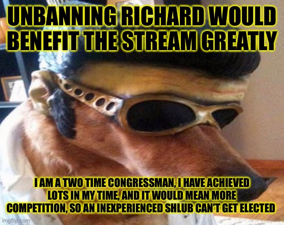 UNBANNING RICHARD WOULD BENEFIT THE STREAM GREATLY; I AM A TWO TIME CONGRESSMAN, I HAVE ACHIEVED LOTS IN MY TIME, AND IT WOULD MEAN MORE COMPETITION, SO AN INEXPERIENCED SHLUB CAN’T GET ELECTED | made w/ Imgflip meme maker