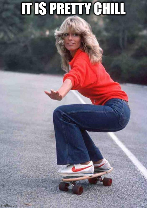 Farrah Skateboard | IT IS PRETTY CHILL | image tagged in farrah skateboard | made w/ Imgflip meme maker