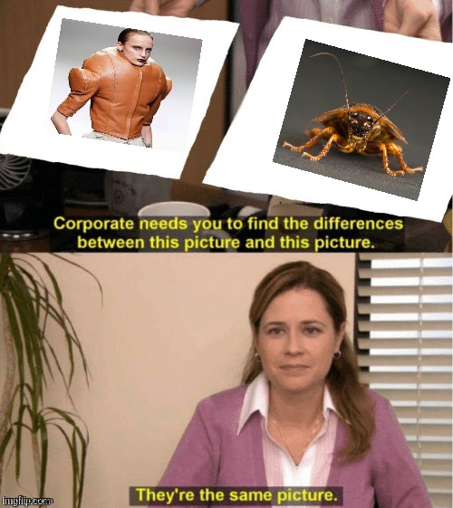 Cockroach Colored Clothes | image tagged in they re the same thing | made w/ Imgflip meme maker