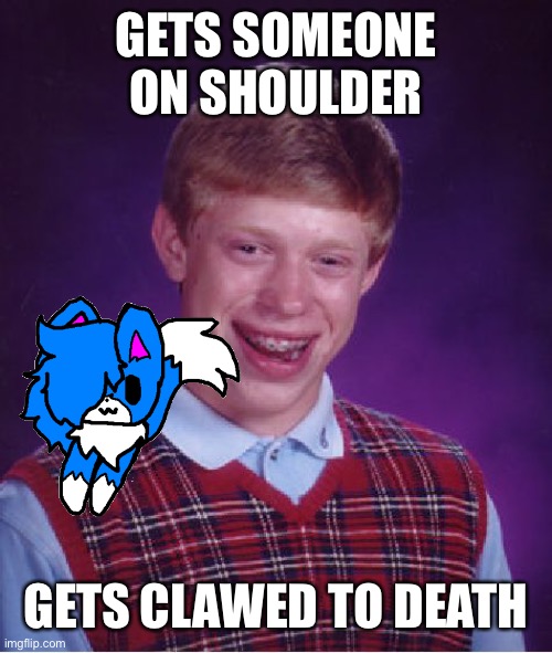 Bad Luck Brian Meme | GETS SOMEONE ON SHOULDER; GETS CLAWED TO DEATH | image tagged in memes,bad luck brian | made w/ Imgflip meme maker