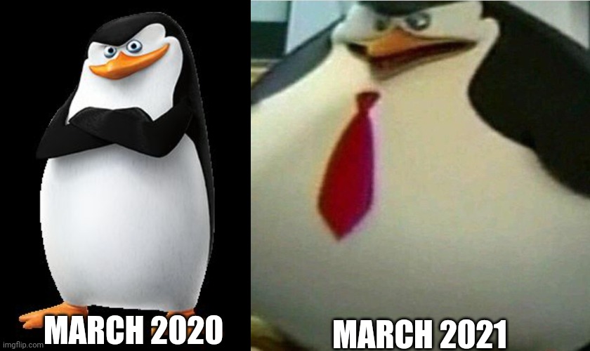 I didn't get THAT fat during quarantine | MARCH 2021; MARCH 2020 | image tagged in skipper,thicc skipper | made w/ Imgflip meme maker