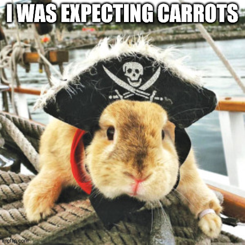 I WAS EXPECTING CARROTS | made w/ Imgflip meme maker