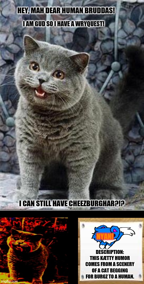 I can has cheezburger cat | HEY, MAH DEAR HUMAN BRUDDAS! I AM GUD SO I HAVE A WRYQUEST! I CAN STILL HAVE CHEEZBURGHAR?!? NYAN! DESCRIPTION: THIS KÆTTY HUMOR COMES FROM A SCENERY OF A CAT BEGGING FOR BURGZ TO A HUMAN. | image tagged in memes,mayor mccheese,hungry cat | made w/ Imgflip meme maker