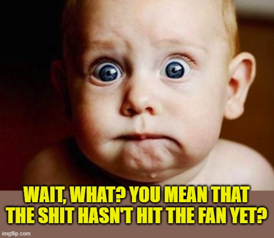 Scared Face | WAIT, WHAT? YOU MEAN THAT THE SHIT HASN'T HIT THE FAN YET? | image tagged in scared face | made w/ Imgflip meme maker
