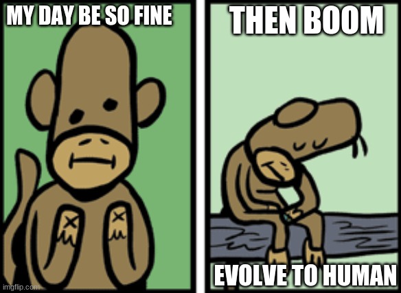 my day be so monkey | THEN BOOM; MY DAY BE SO FINE; EVOLVE TO HUMAN | image tagged in monkey | made w/ Imgflip meme maker