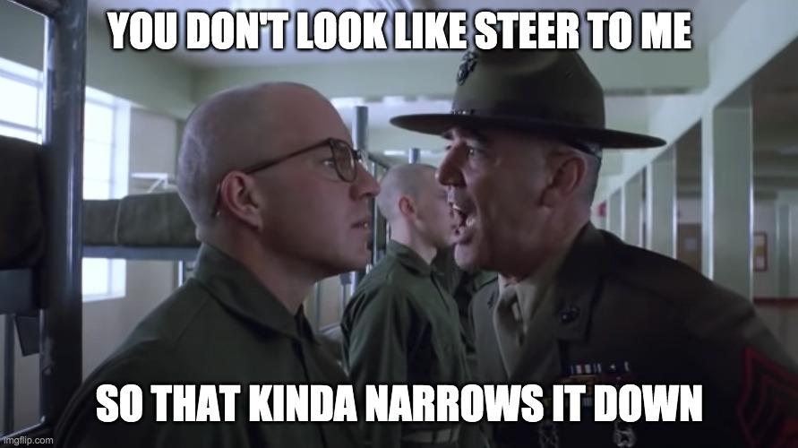 YOU DON'T LOOK LIKE STEER TO ME SO THAT KINDA NARROWS IT DOWN | made w/ Imgflip meme maker