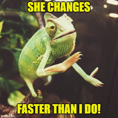 Slow Clap Chameleon  | SHE CHANGES FASTER THAN I DO! | image tagged in slow clap chameleon | made w/ Imgflip meme maker