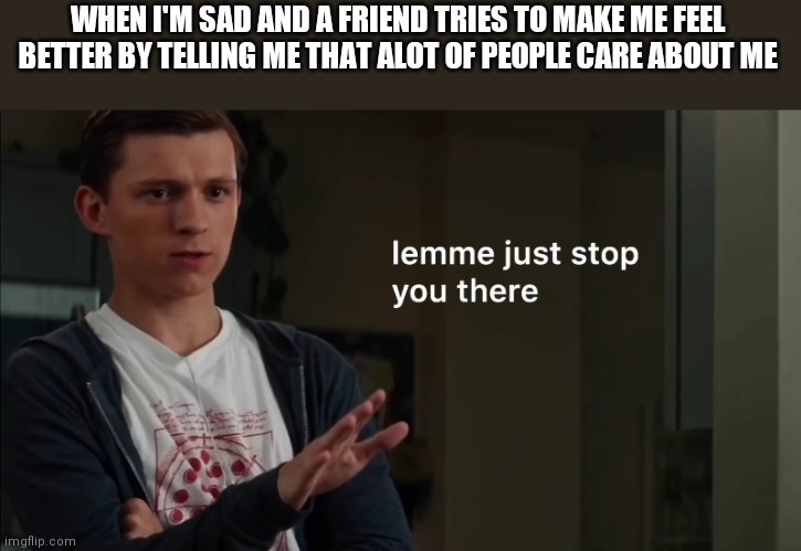 Lemme just stop you there | WHEN I'M SAD AND A FRIEND TRIES TO MAKE ME FEEL BETTER BY TELLING ME THAT ALOT OF PEOPLE CARE ABOUT ME | image tagged in lemme just stop you there | made w/ Imgflip meme maker