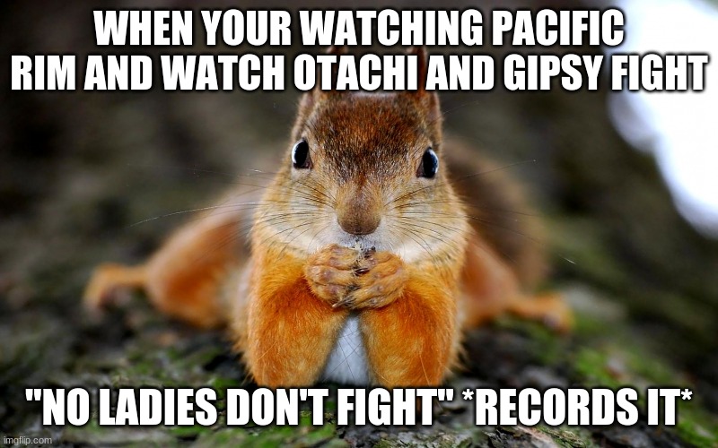 squirrel meme | WHEN YOUR WATCHING PACIFIC RIM AND WATCH OTACHI AND GIPSY FIGHT; "NO LADIES DON'T FIGHT" *RECORDS IT* | image tagged in squirrel | made w/ Imgflip meme maker