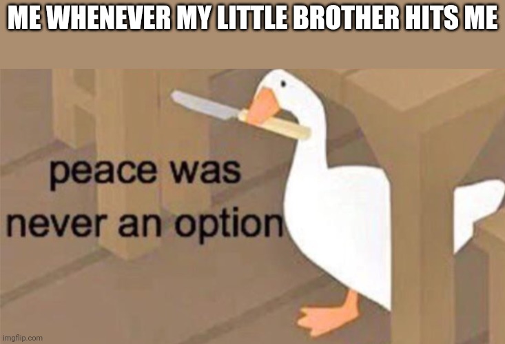 PERISH | ME WHENEVER MY LITTLE BROTHER HITS ME | image tagged in untitled goose peace was never an option | made w/ Imgflip meme maker