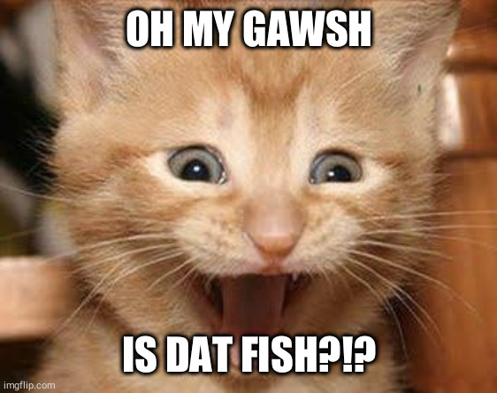 Excited Cat | OH MY GAWSH; IS DAT FISH?!? | image tagged in memes,excited cat | made w/ Imgflip meme maker