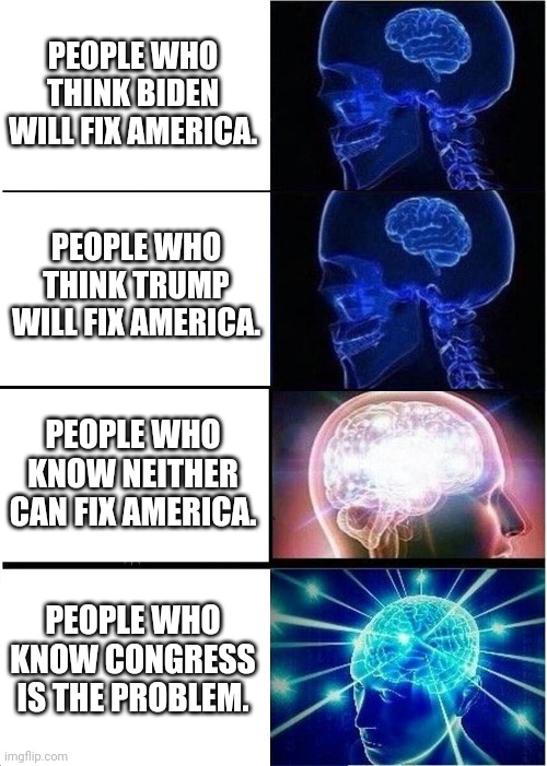 The Real Solution | PEOPLE WHO THINK BIDEN WILL FIX AMERICA. PEOPLE WHO THINK TRUMP WILL FIX AMERICA. PEOPLE WHO KNOW NEITHER CAN FIX AMERICA. PEOPLE WHO KNOW CONGRESS IS THE PROBLEM. | image tagged in memes,expanding brain | made w/ Imgflip meme maker