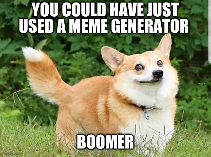 OK Boomer Corgi | YOU COULD HAVE JUST USED A MEME GENERATOR; BOOMER | image tagged in ok boomer corgi | made w/ Imgflip meme maker