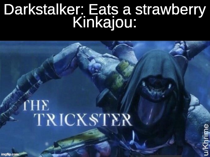 Darkness of Dragons | Kinkajou:; Darkstalker: Eats a strawberry | image tagged in memes,the trickster,funny,wings of fire | made w/ Imgflip meme maker