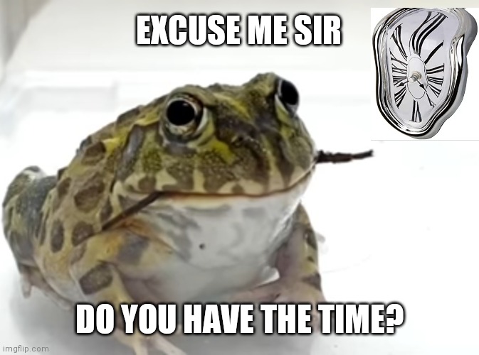 Do you have the time | EXCUSE ME SIR; DO YOU HAVE THE TIME? | image tagged in mustache,surreal,clock,frog,wtf,random | made w/ Imgflip meme maker