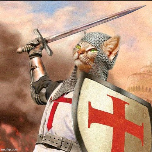 Crusader Cat | image tagged in crusader cat | made w/ Imgflip meme maker