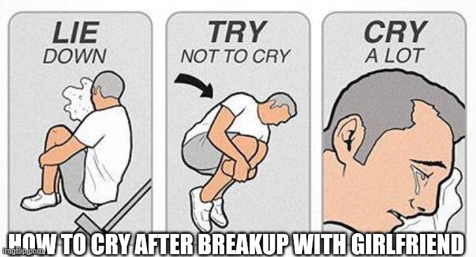 How to cry | HOW TO CRY AFTER BREAKUP WITH GIRLFRIEND | image tagged in cry a lot | made w/ Imgflip meme maker