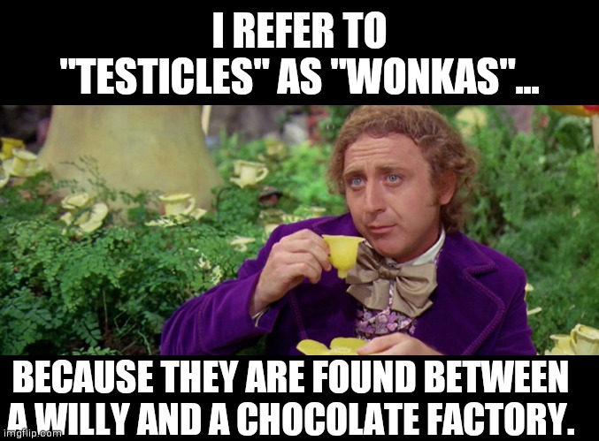I REFER TO "TESTICLES" AS "WONKAS"... BECAUSE THEY ARE FOUND BETWEEN A WILLY AND A CHOCOLATE FACTORY. | made w/ Imgflip meme maker