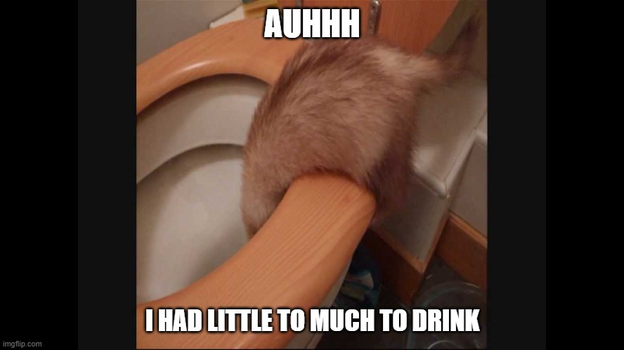 too much fun | AUHHH; I HAD LITTLE TO MUCH TO DRINK | image tagged in ferrari | made w/ Imgflip meme maker