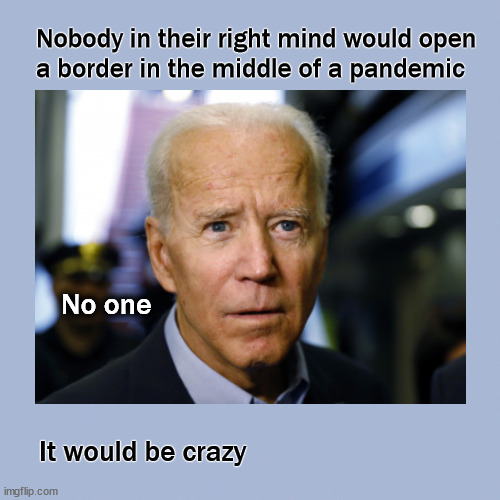 Biden's right mind | Nobody in their right mind would open
a border in the middle of a pandemic; No one; It would be crazy | image tagged in politics | made w/ Imgflip meme maker