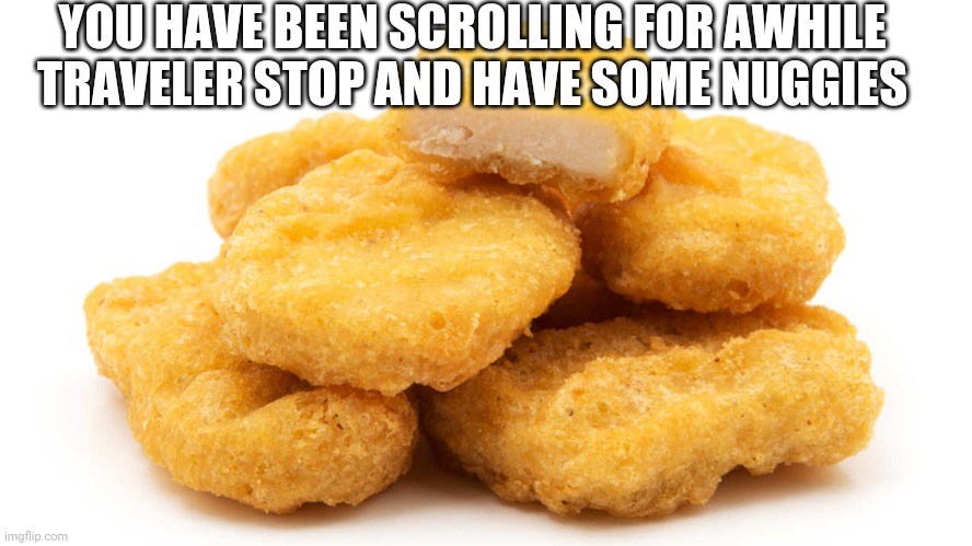  YOU HAVE BEEN SCROLLING FOR AWHILE TRAVELER STOP AND HAVE SOME NUGGIES | image tagged in chicken nuggets | made w/ Imgflip meme maker
