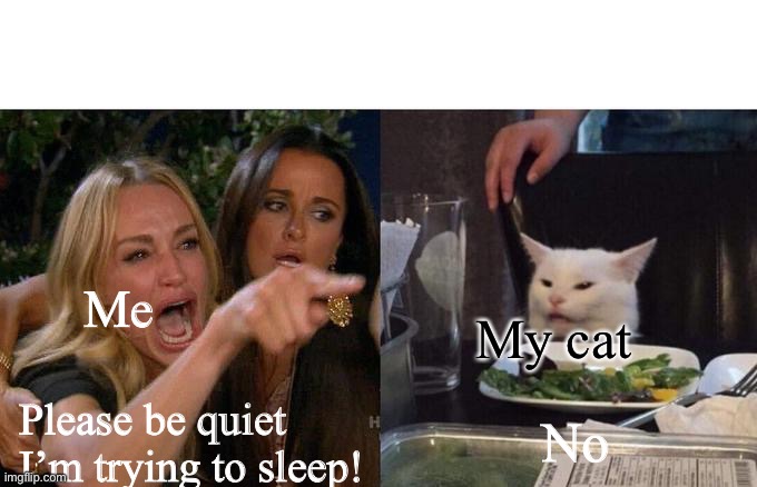 Please stop squeaking at top volume people are trying to sleep! | Me; My cat; No; Please be quiet I’m trying to sleep! | image tagged in memes,woman yelling at cat | made w/ Imgflip meme maker