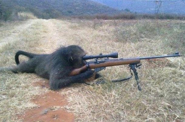 Sniper monkey Blank Meme Template