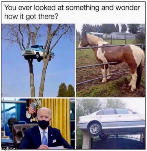 How? | image tagged in how,biden | made w/ Imgflip meme maker