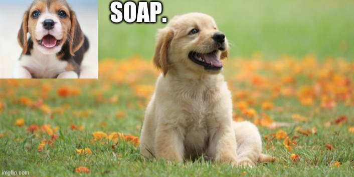 High Quality soap doggo template Blank Meme Template