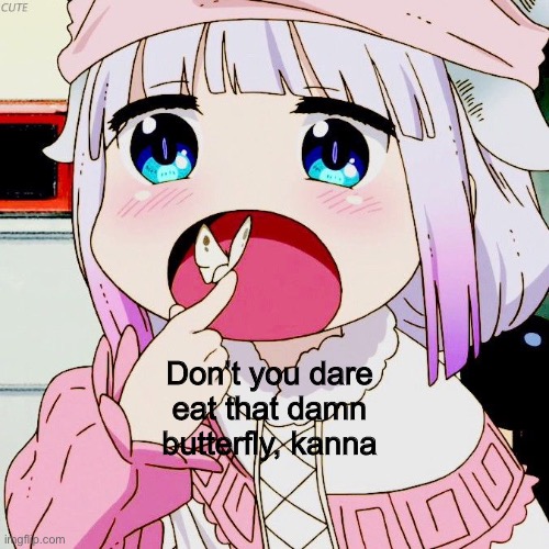 Don’t you dare eat that damn butterfly, kanna | image tagged in kanna | made w/ Imgflip meme maker