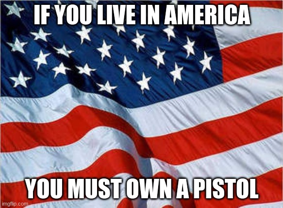 USA Flag | IF YOU LIVE IN AMERICA; YOU MUST OWN A PISTOL | image tagged in usa flag | made w/ Imgflip meme maker