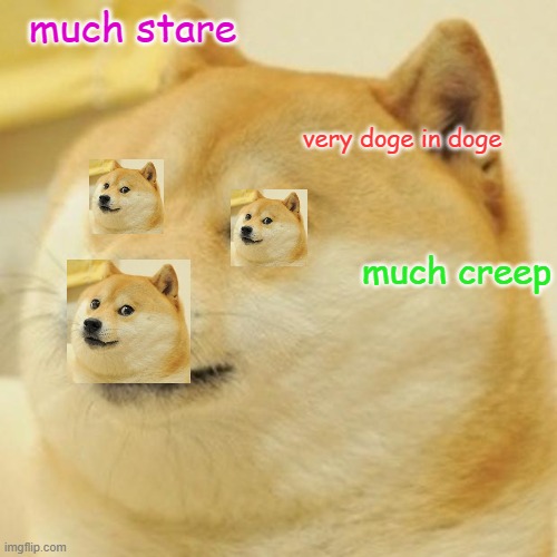 Doge Meme | much stare; very doge in doge; much creep | image tagged in memes,doge | made w/ Imgflip meme maker