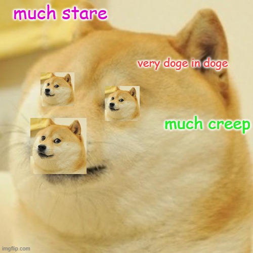 Doge | much stare; very doge in doge; much creep | image tagged in memes,doge | made w/ Imgflip meme maker