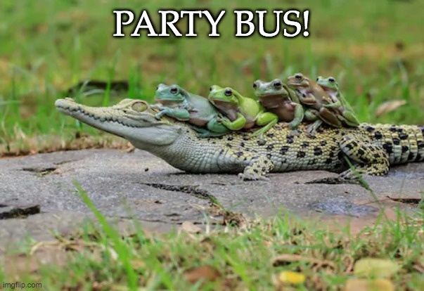 Frog Fun Ride | PARTY BUS! | image tagged in frog,crocodile,ride | made w/ Imgflip meme maker