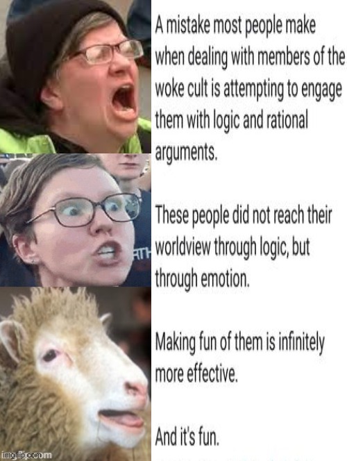 How to deal with the "Woke Cult"? | image tagged in morons,idiots,stupid people,stupid liberals,special kind of stupid,stupidity | made w/ Imgflip meme maker