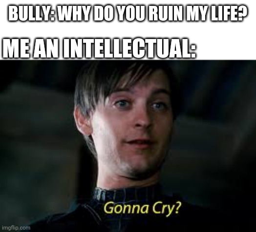 Gonna Cry? | BULLY: WHY DO YOU RUIN MY LIFE? ME AN INTELLECTUAL: | image tagged in gonna cry | made w/ Imgflip meme maker