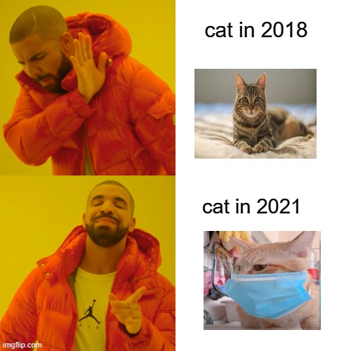 Drake Hotline Bling Meme | cat in 2018; cat in 2021 | image tagged in memes,drake hotline bling | made w/ Imgflip meme maker