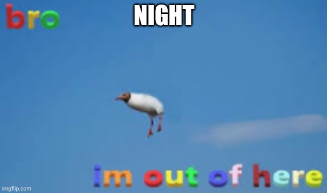 NIGHT | image tagged in bro im out of here | made w/ Imgflip meme maker