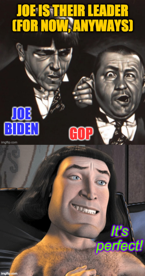 President 'Iron Joe' Biden | It's perfect! | image tagged in memes,moe is their leader,joe biden,gop,it's perfect,king farquaad | made w/ Imgflip meme maker