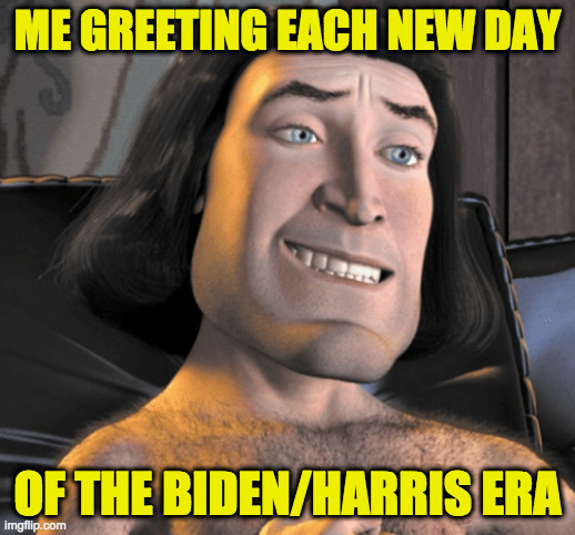 Sixteen years of peace and stability.  It's perfect  ( : | ME GREETING EACH NEW DAY; OF THE BIDEN/HARRIS ERA | image tagged in it's perfect,memes,biden harris,give peace a chance,king farquaad | made w/ Imgflip meme maker