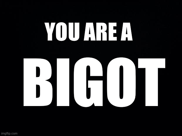 Black background | YOU ARE A BIGOT | image tagged in black background | made w/ Imgflip meme maker